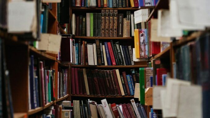Bücherregale